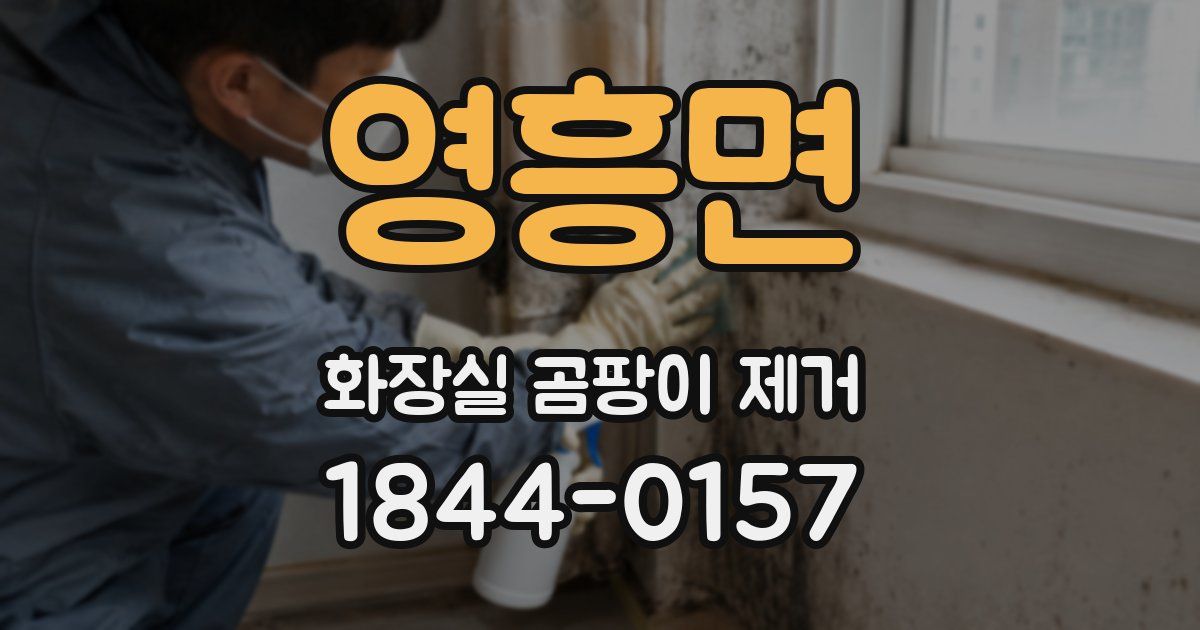 영흥면 화장실 곰팡이 제거