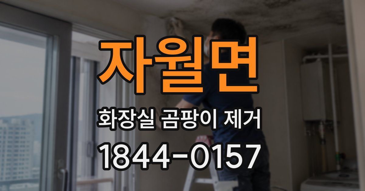 자월면 화장실 곰팡이 제거
