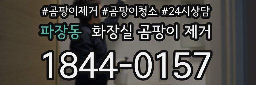파장동 화장실 곰팡이 제거