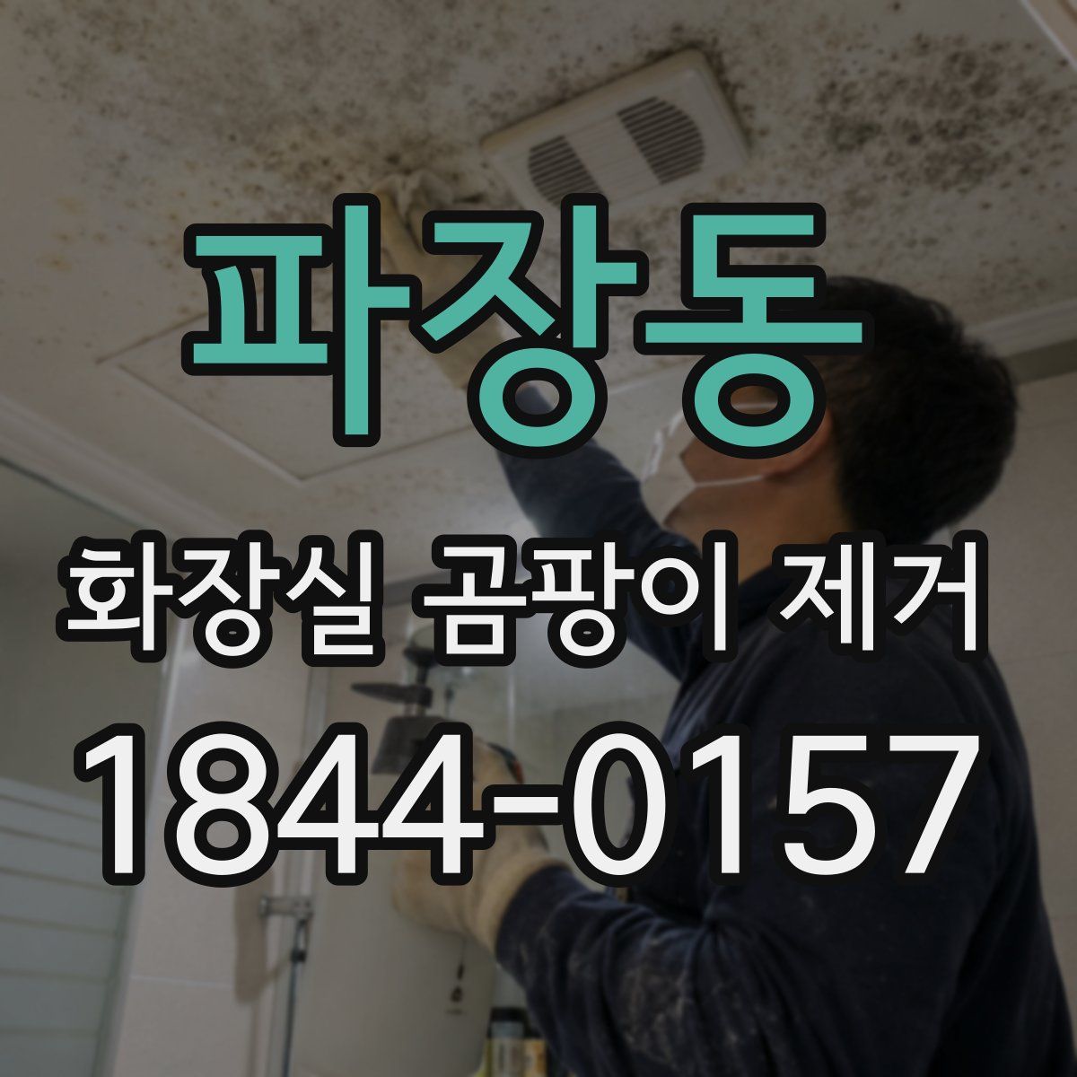 파장동 화장실 곰팡이 제거