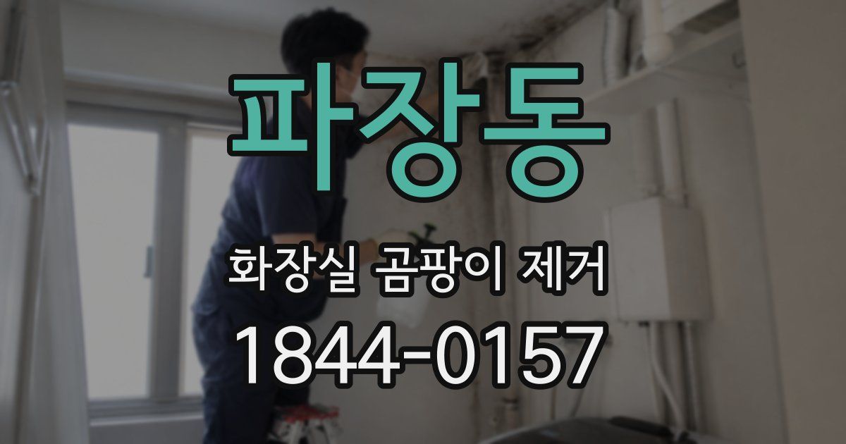 파장동 화장실 곰팡이 제거