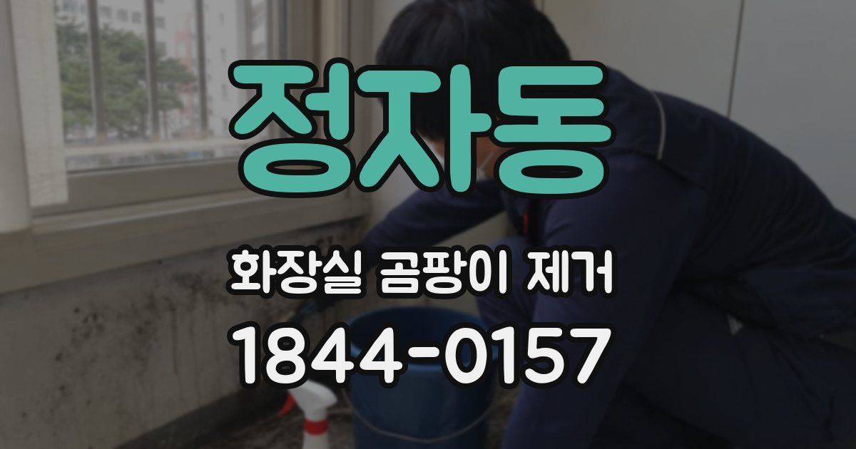 정자동 화장실 곰팡이 제거