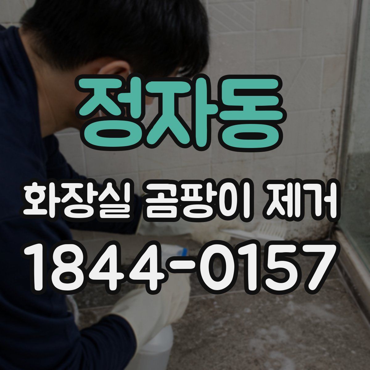 정자동 화장실 곰팡이 제거