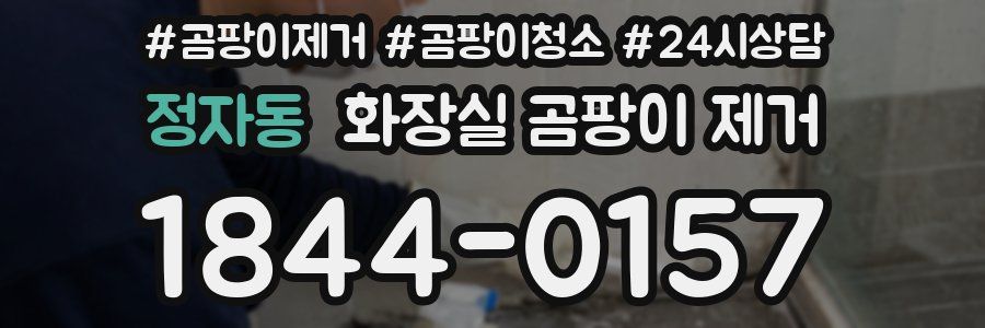 정자동 화장실 곰팡이 제거