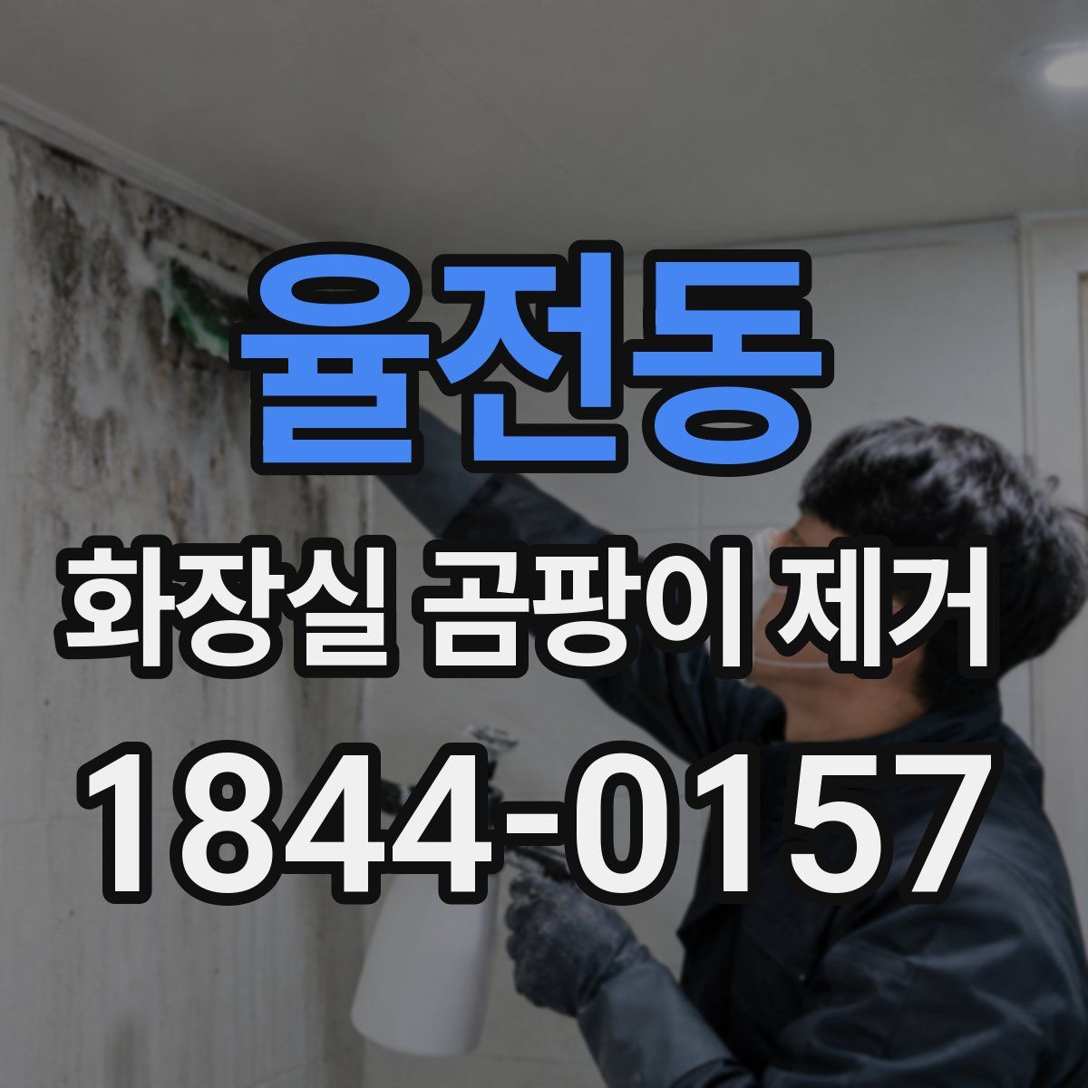 율전동 화장실 곰팡이 제거