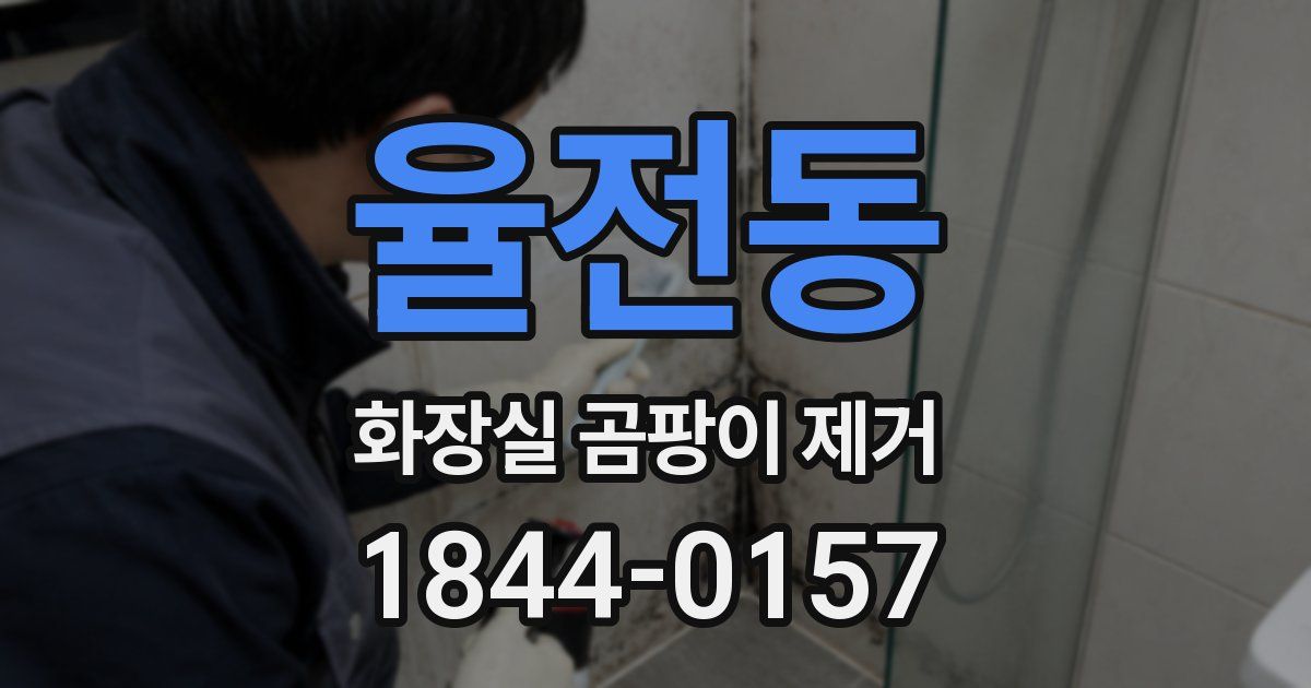 율전동 화장실 곰팡이 제거