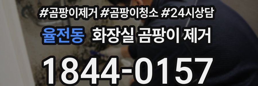 율전동 화장실 곰팡이 제거