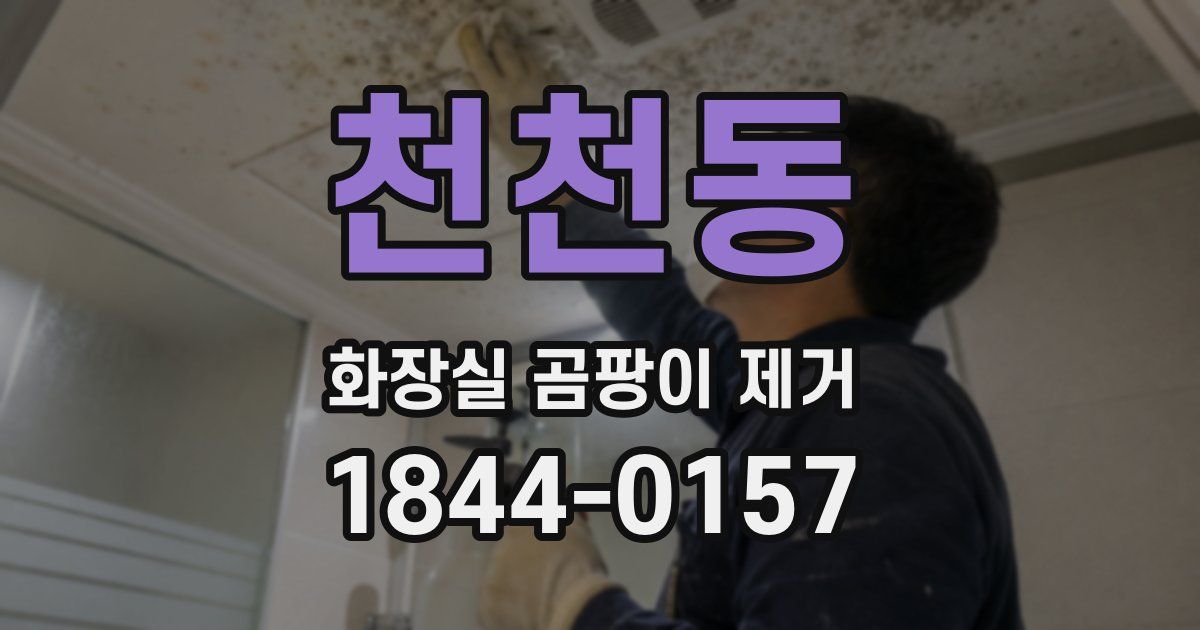 천천동 화장실 곰팡이 제거