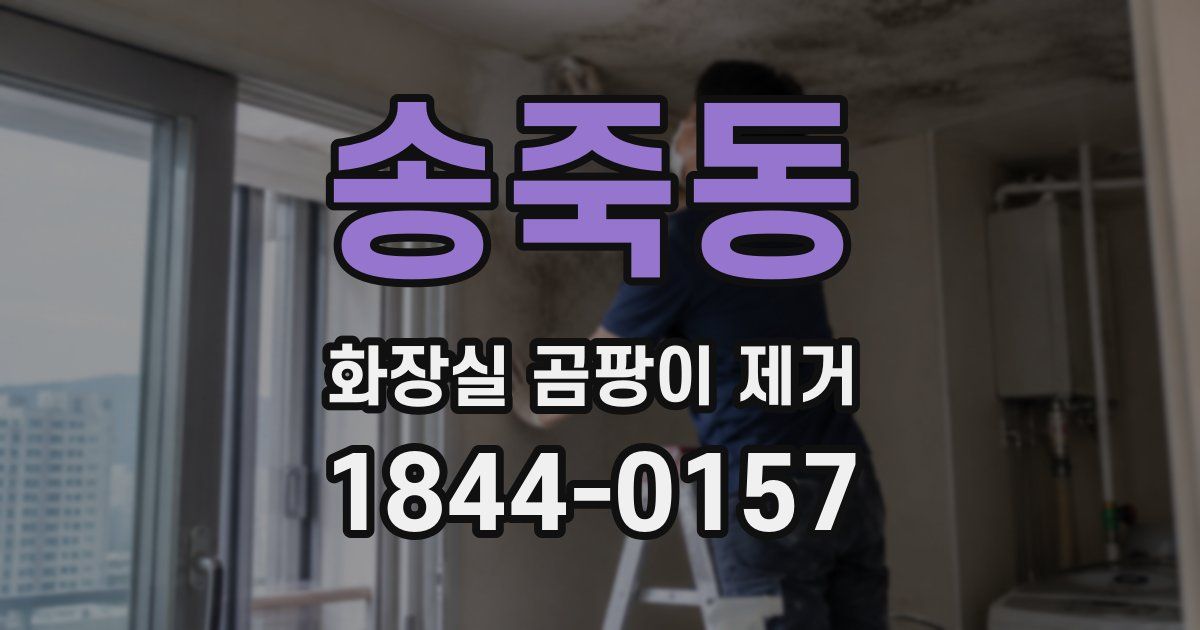 송죽동 화장실 곰팡이 제거