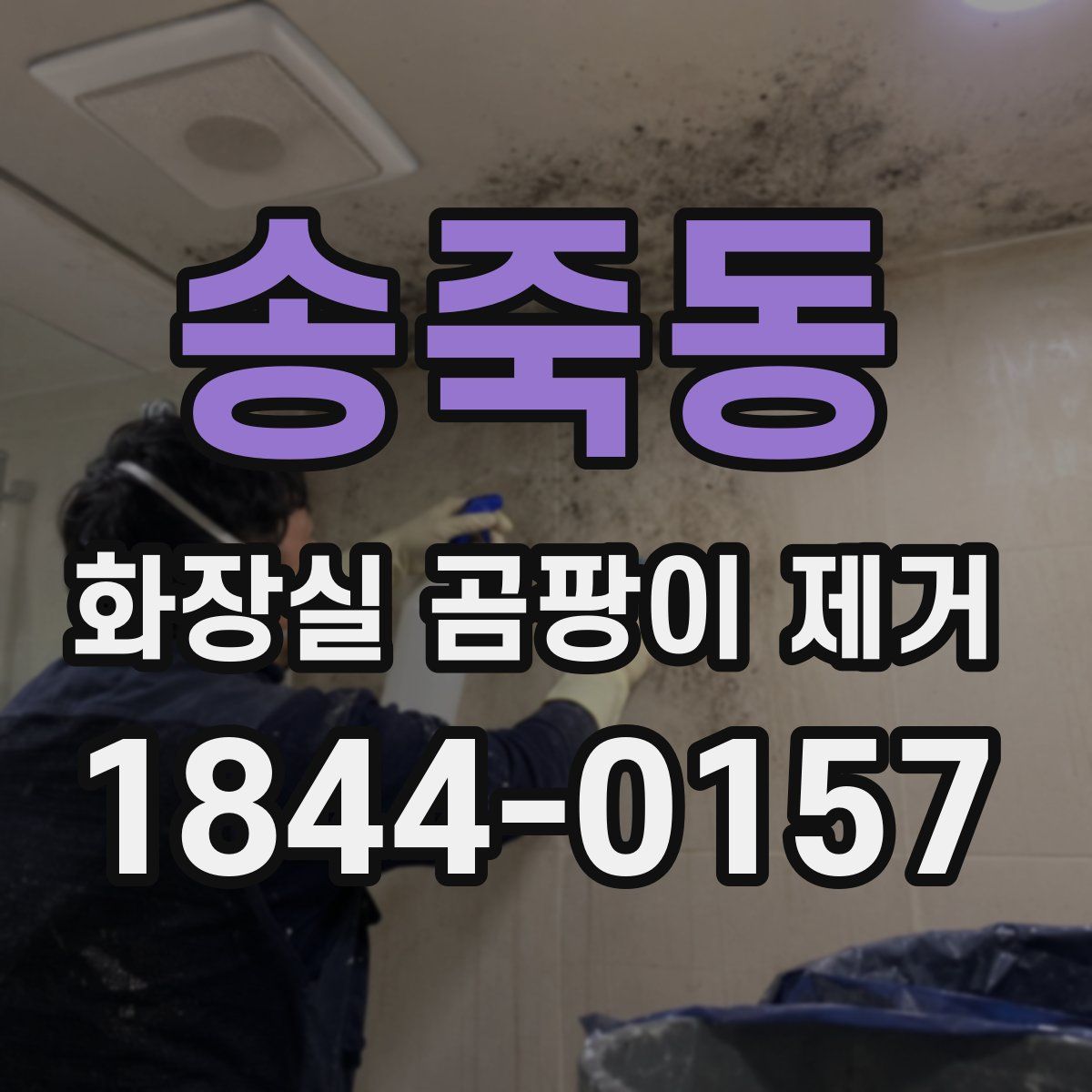 송죽동 화장실 곰팡이 제거