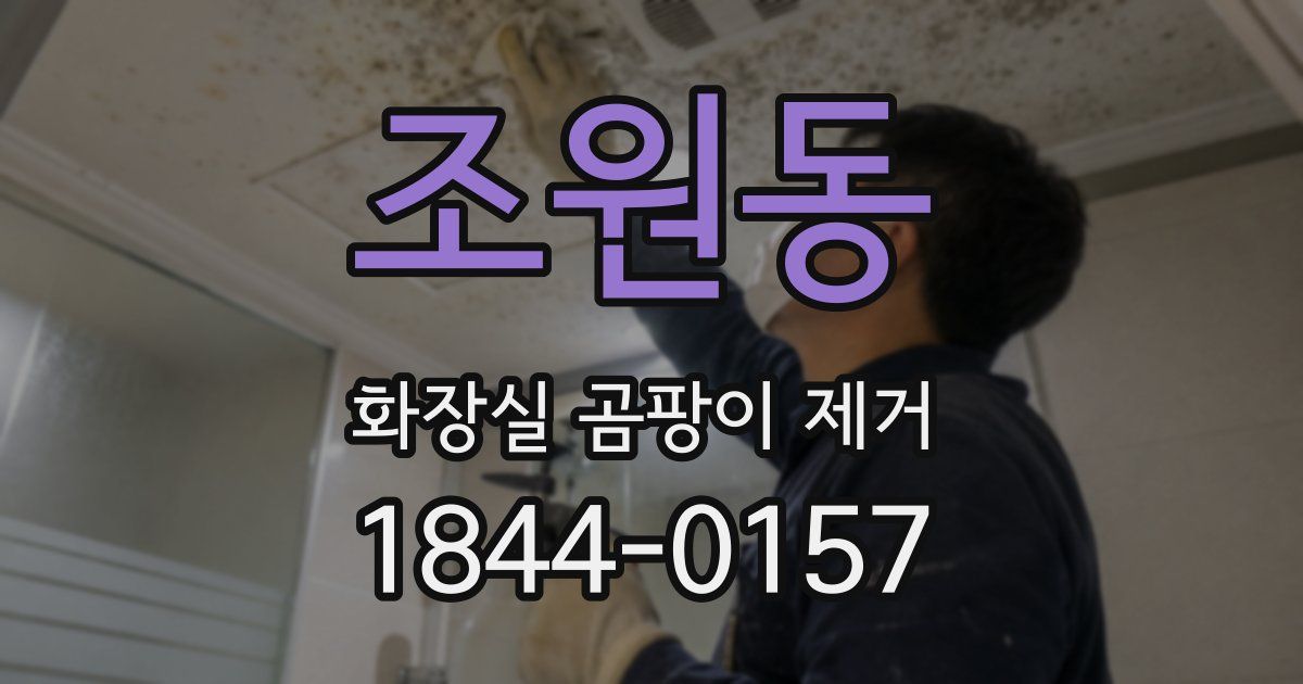 조원동 화장실 곰팡이 제거
