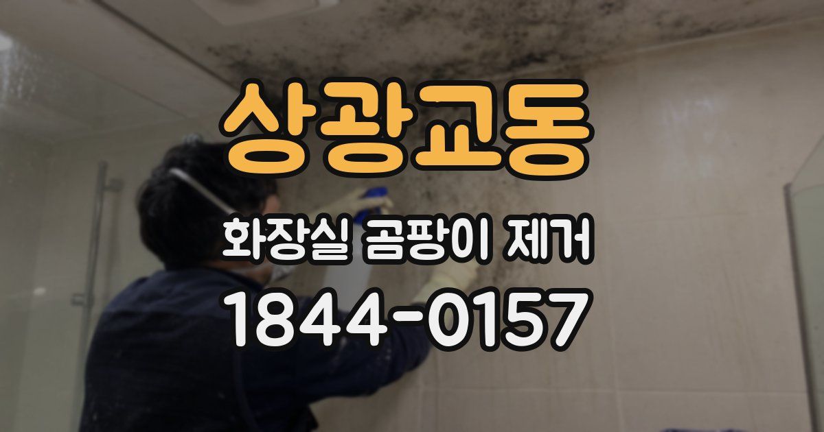 상광교동 화장실 곰팡이 제거