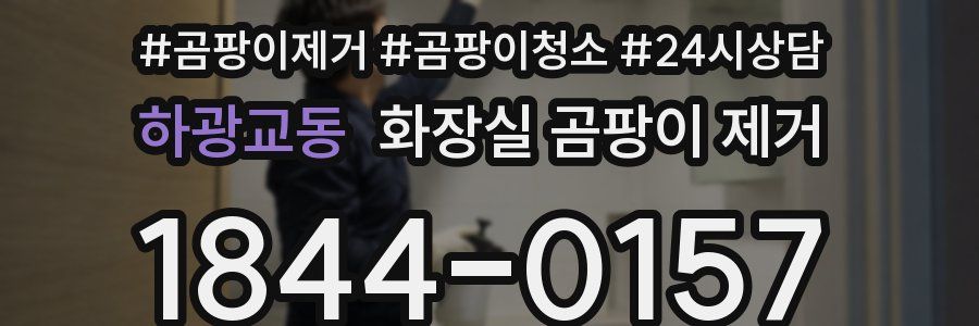 하광교동 화장실 곰팡이 제거