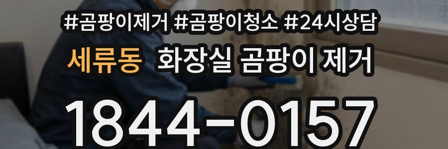 세류동 화장실 곰팡이 제거