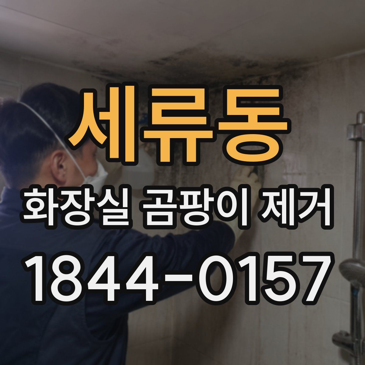 세류동 화장실 곰팡이 제거