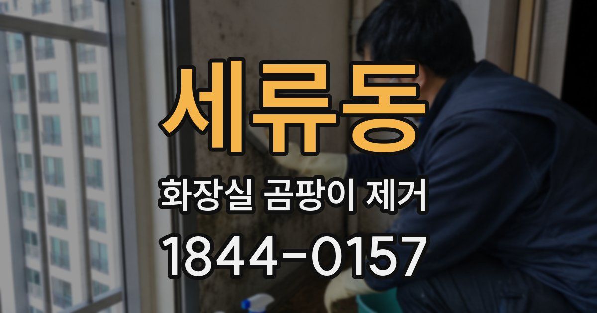 세류동 화장실 곰팡이 제거
