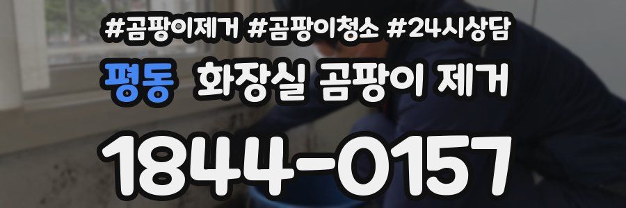 평동 화장실 곰팡이 제거