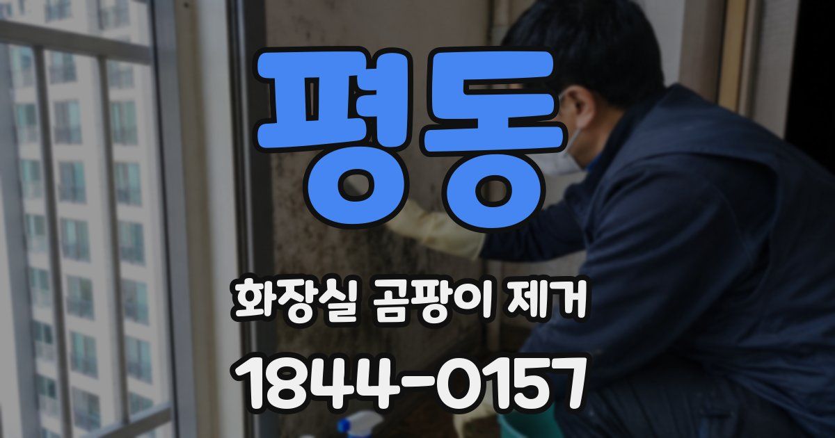 평동 화장실 곰팡이 제거