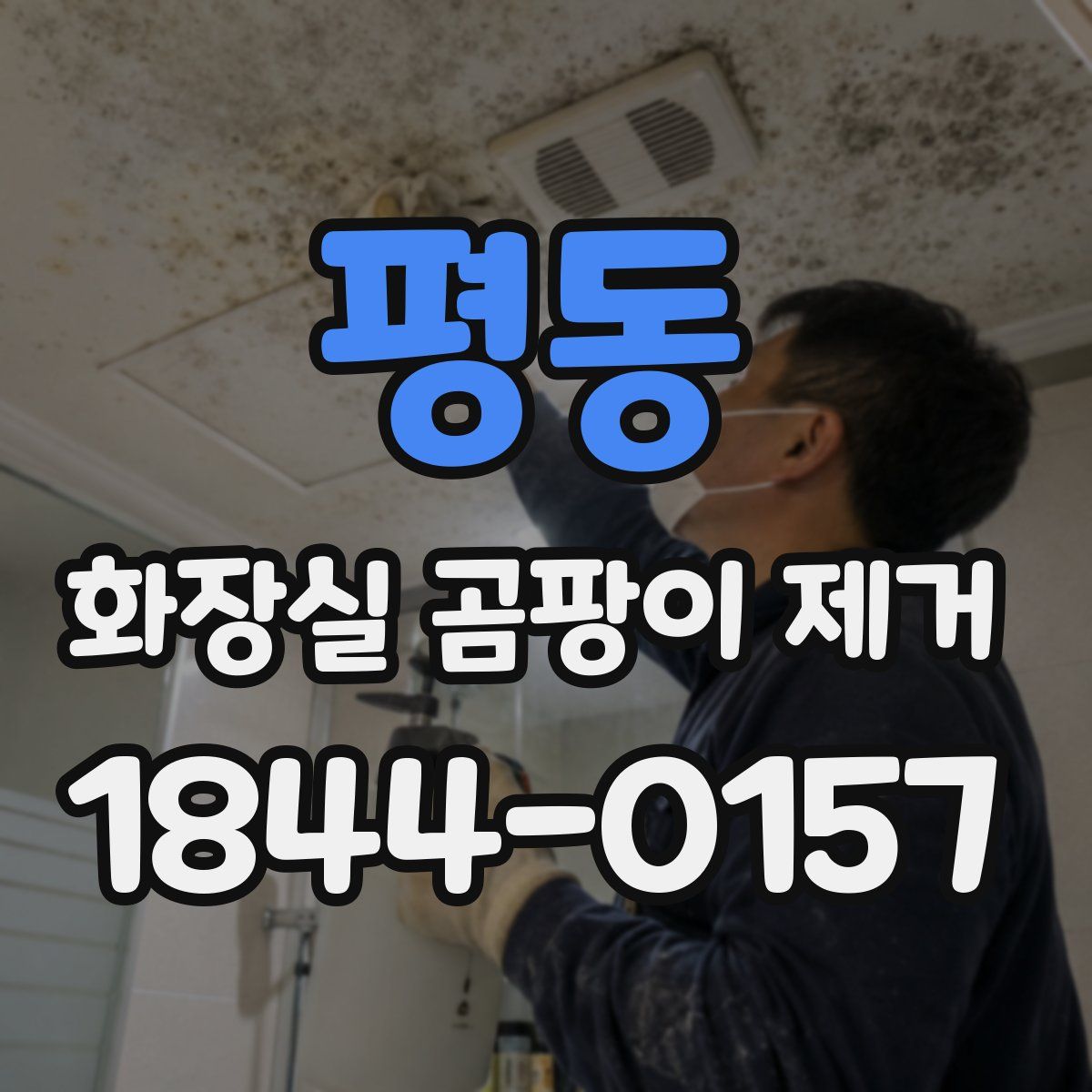 평동 화장실 곰팡이 제거