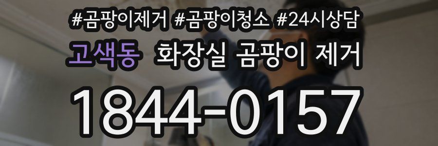 고색동 화장실 곰팡이 제거