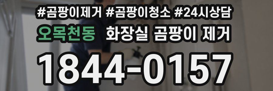 오목천동 화장실 곰팡이 제거