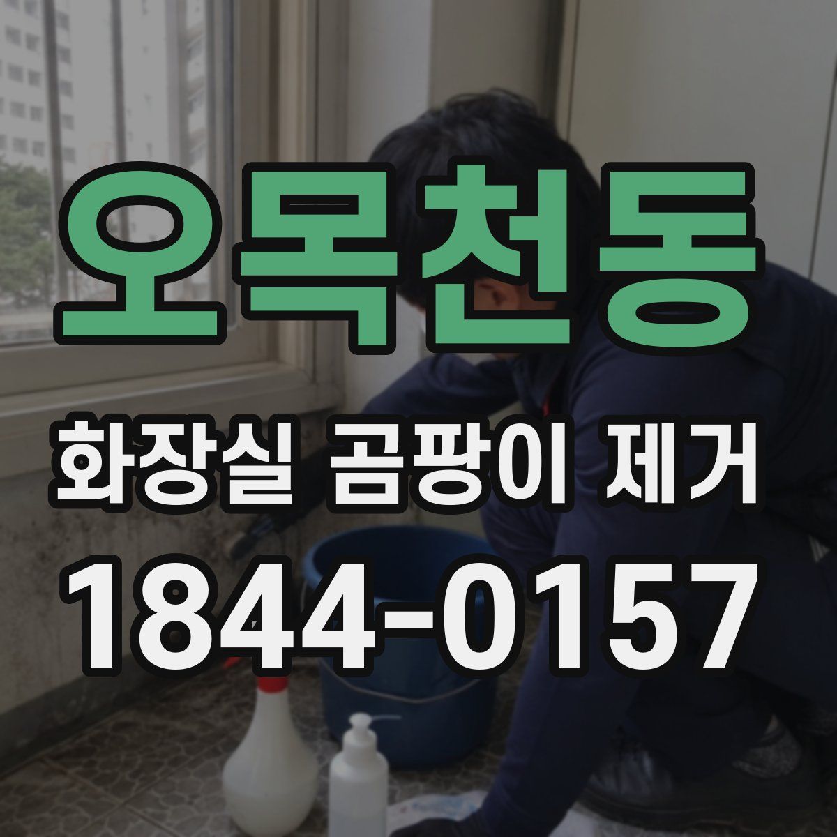 오목천동 화장실 곰팡이 제거