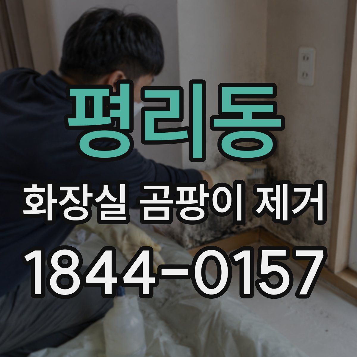 평리동 화장실 곰팡이 제거