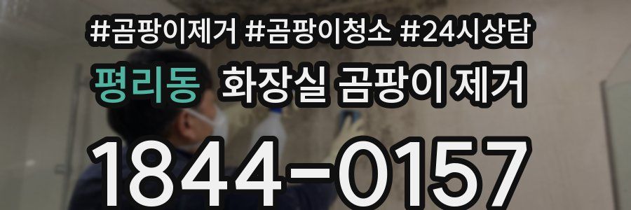평리동 화장실 곰팡이 제거