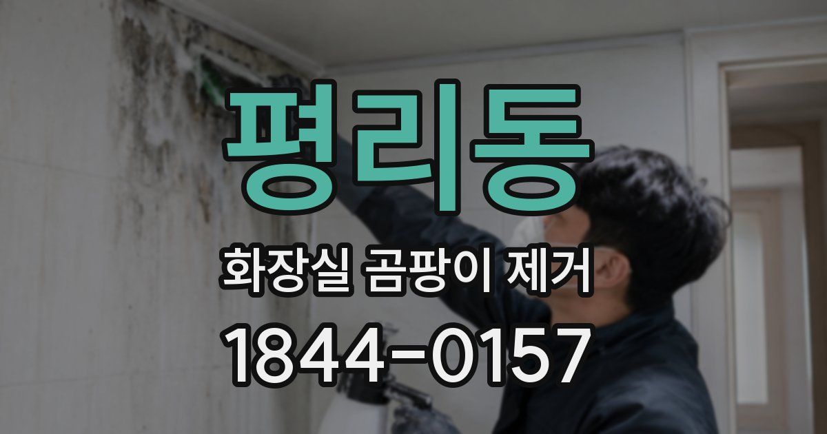 평리동 화장실 곰팡이 제거