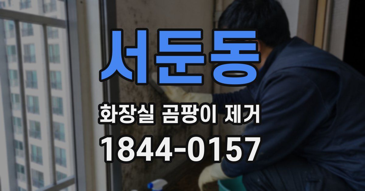 서둔동 화장실 곰팡이 제거