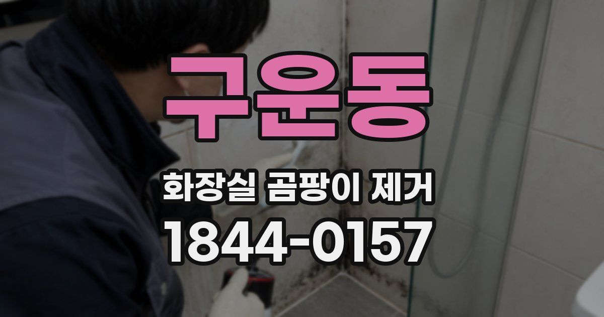 구운동 화장실 곰팡이 제거