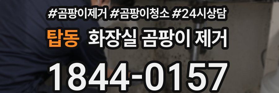 탑동 화장실 곰팡이 제거