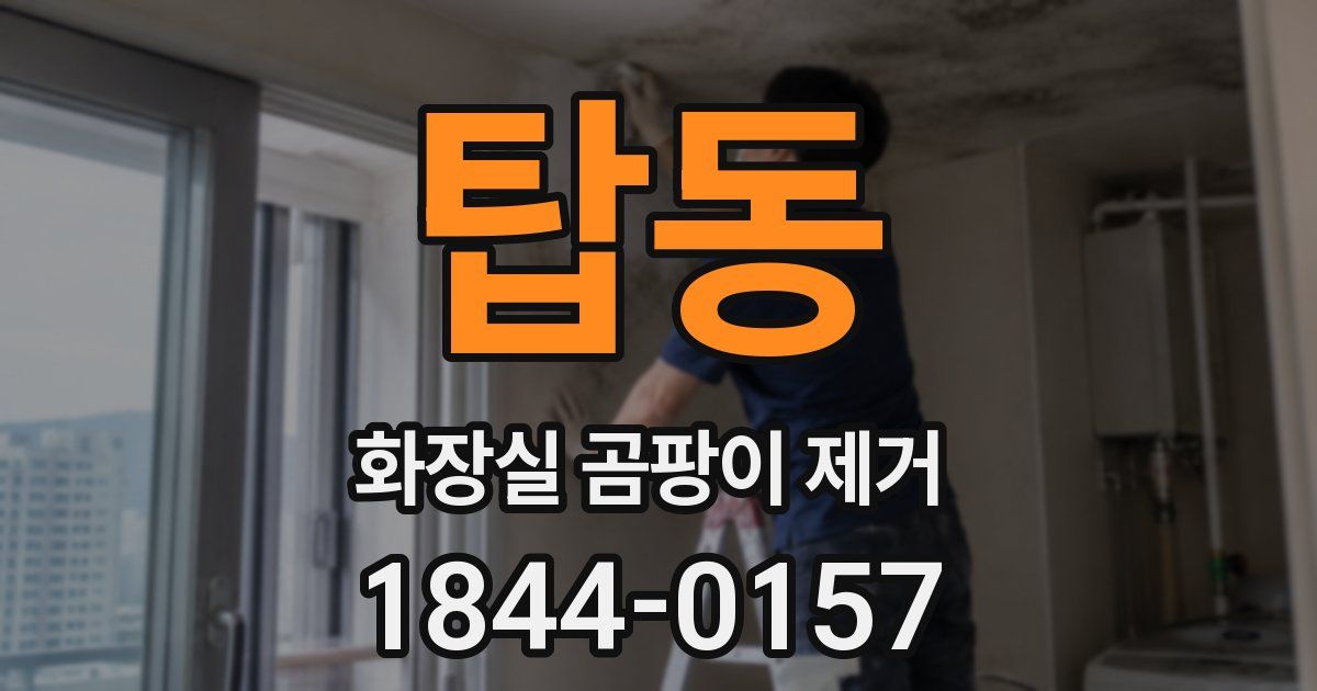 탑동 화장실 곰팡이 제거