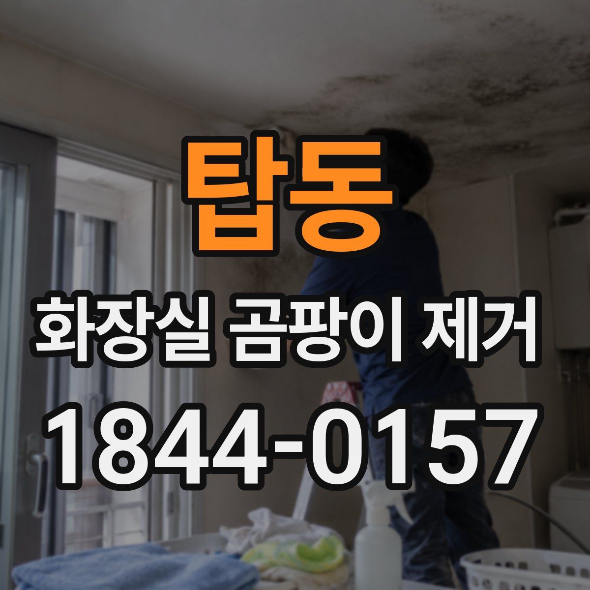 탑동 화장실 곰팡이 제거