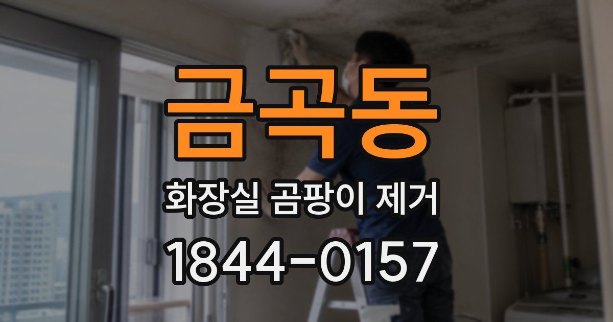 금곡동 화장실 곰팡이 제거