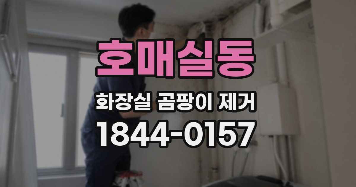 호매실동 화장실 곰팡이 제거