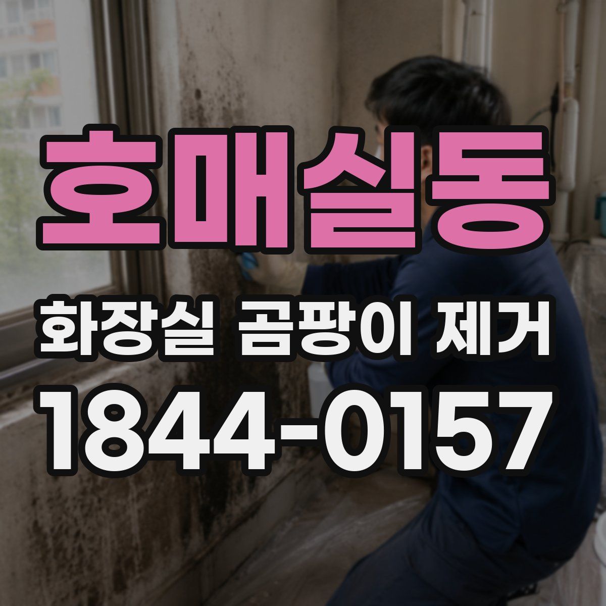 호매실동 화장실 곰팡이 제거