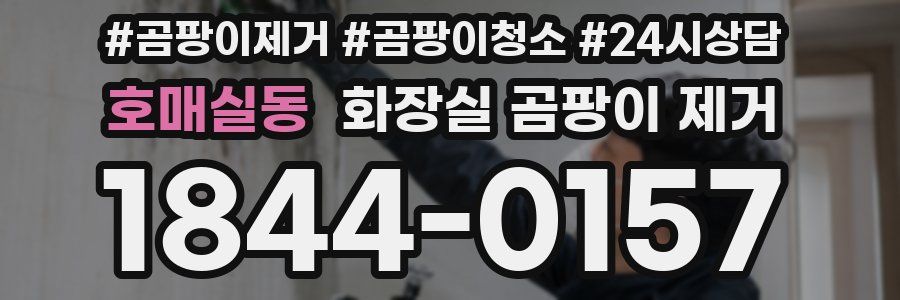 호매실동 화장실 곰팡이 제거