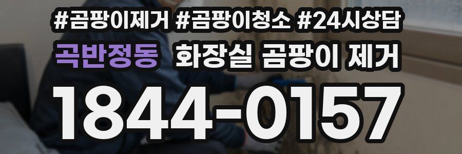 곡반정동 화장실 곰팡이 제거