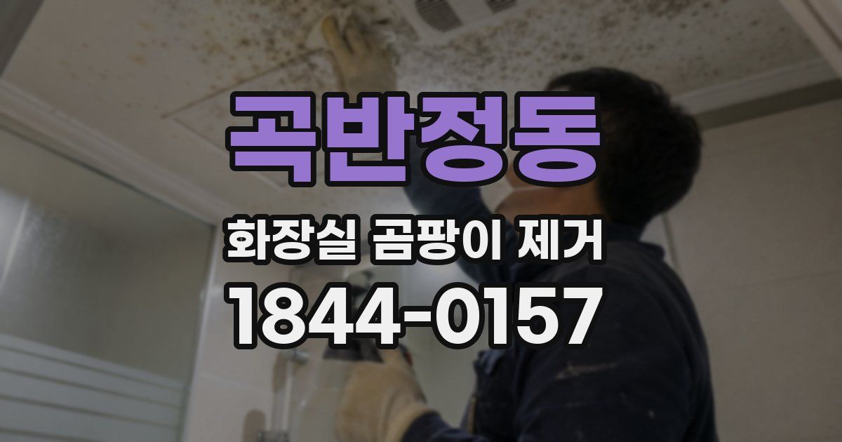 곡반정동 화장실 곰팡이 제거