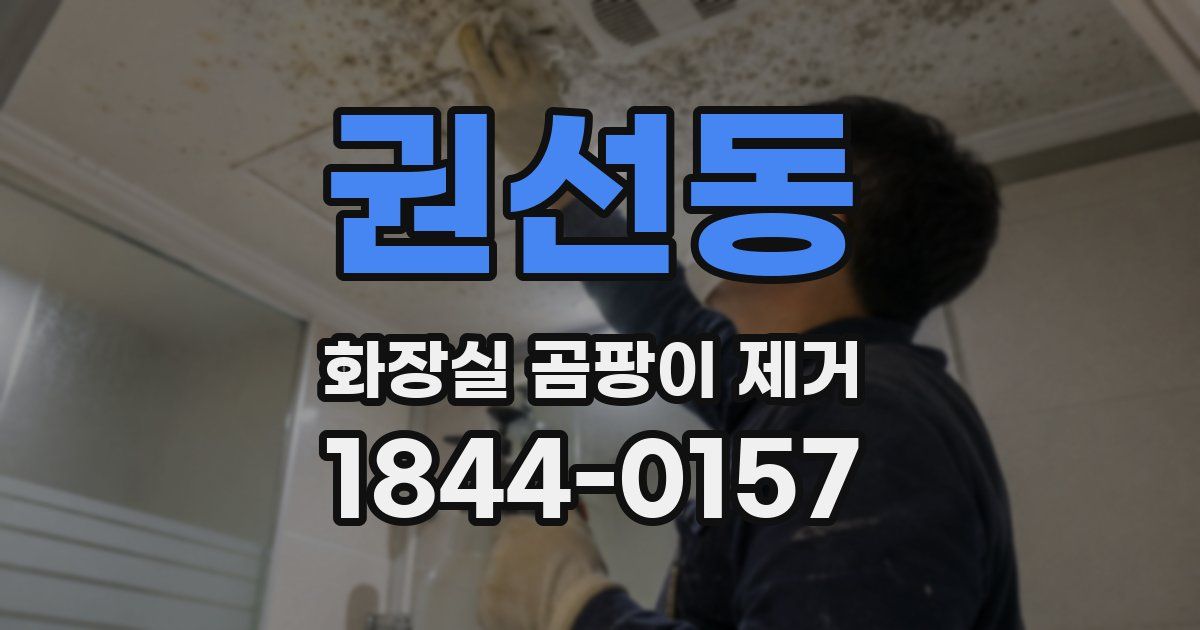 권선동 화장실 곰팡이 제거