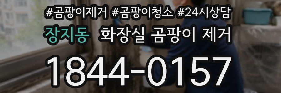 장지동 화장실 곰팡이 제거