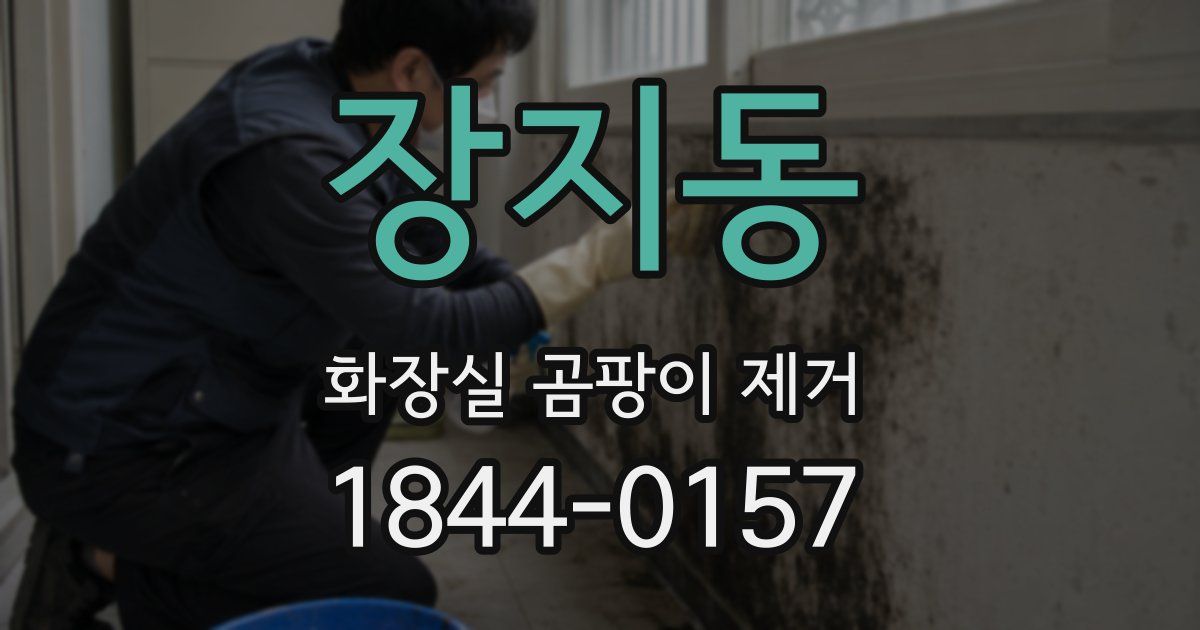 장지동 화장실 곰팡이 제거