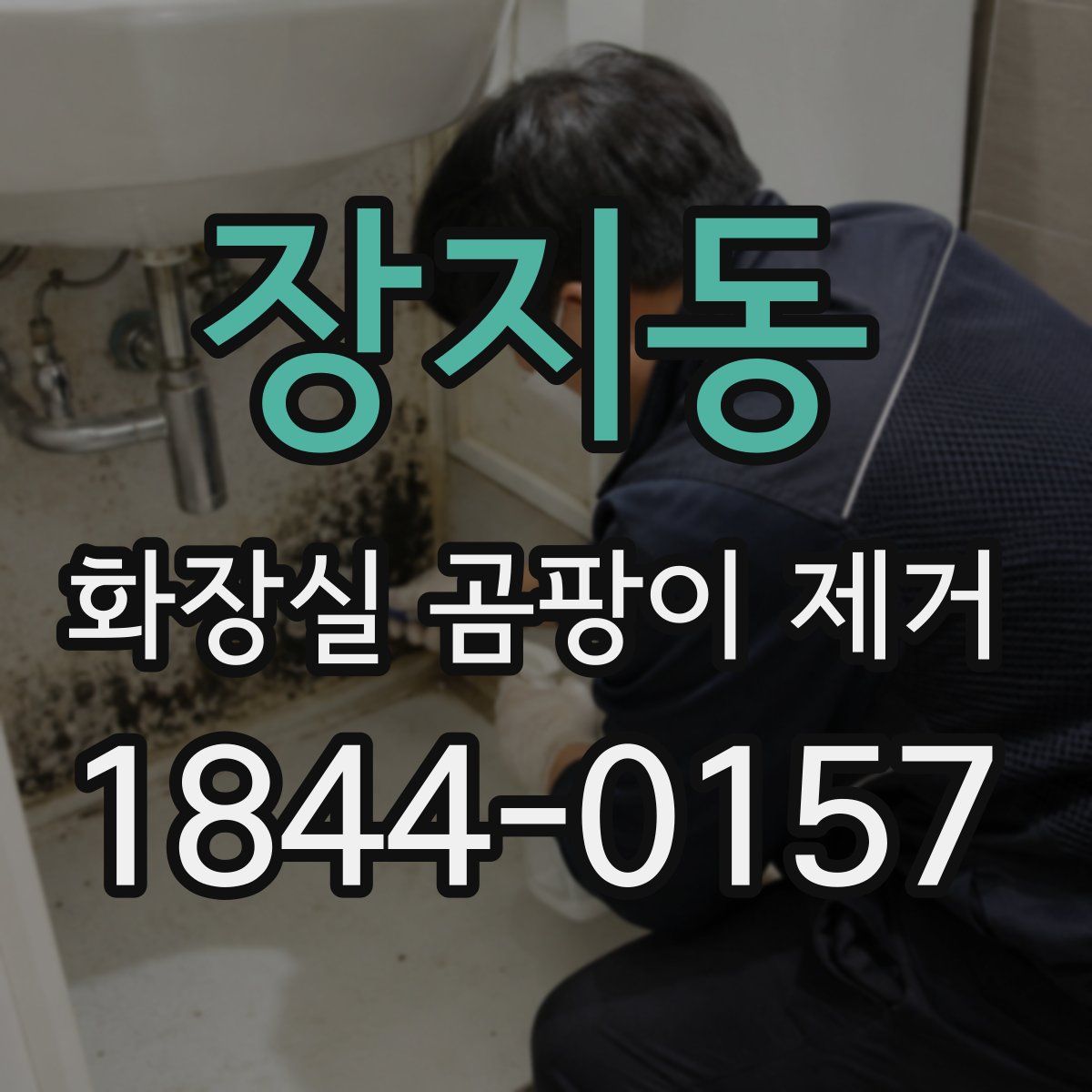장지동 화장실 곰팡이 제거