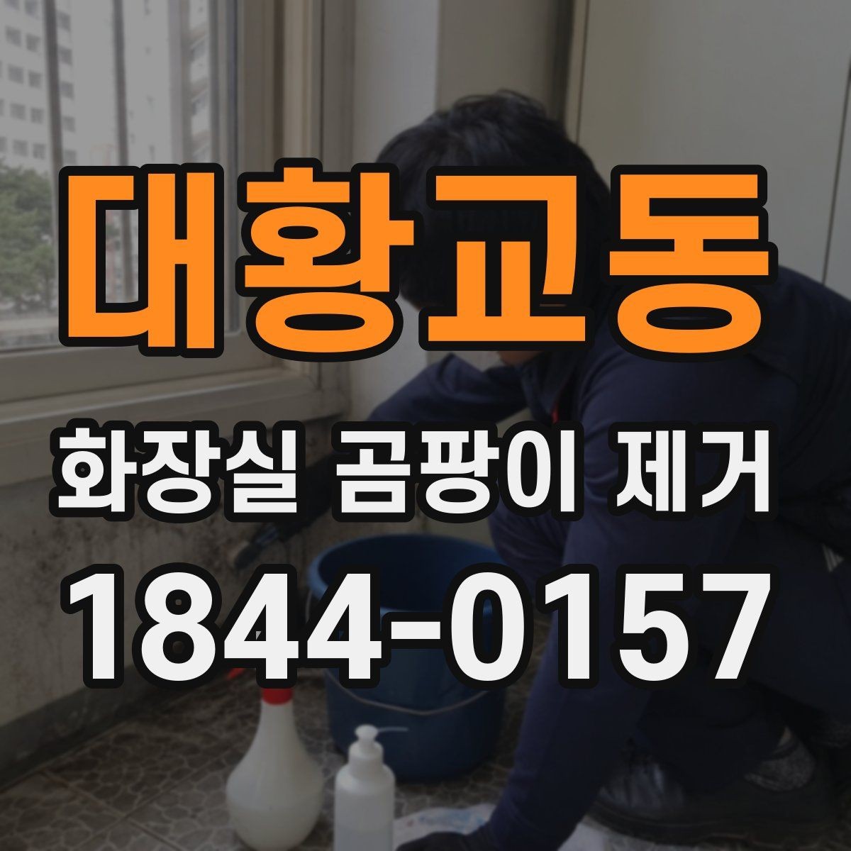 대황교동 화장실 곰팡이 제거 실리콘·줄눈·배수구를 나눠 보는 점검법