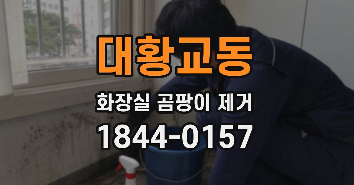 대황교동 화장실 곰팡이 제거