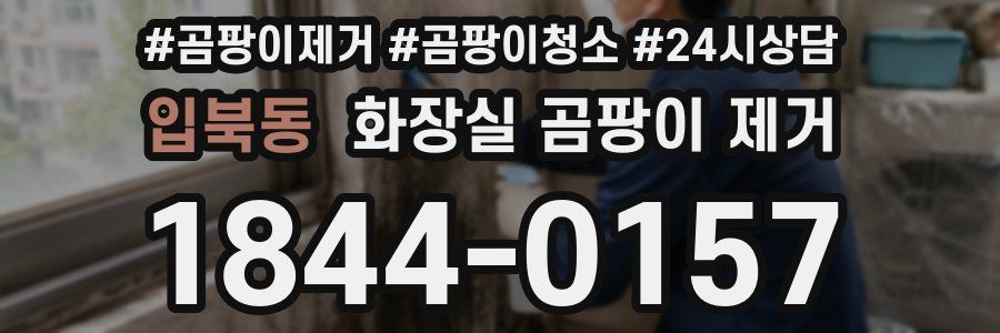 입북동 화장실 곰팡이 제거
