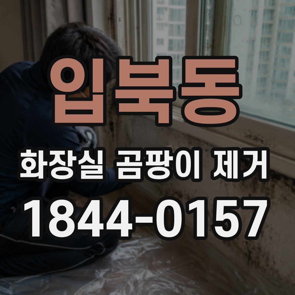입북동 화장실 곰팡이 제거