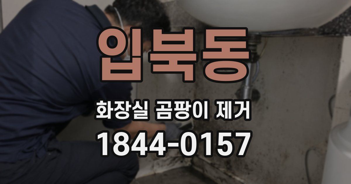 입북동 화장실 곰팡이 제거