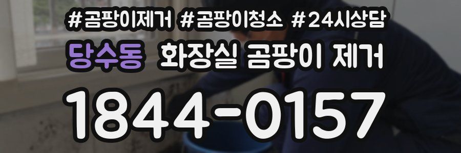 당수동 화장실 곰팡이 제거